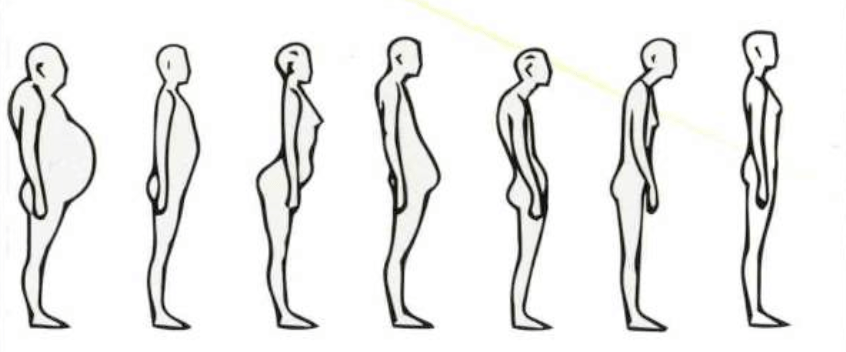 rééquilibrer sa posture, harmoniser la posture, posture personnelle, verticalité, 